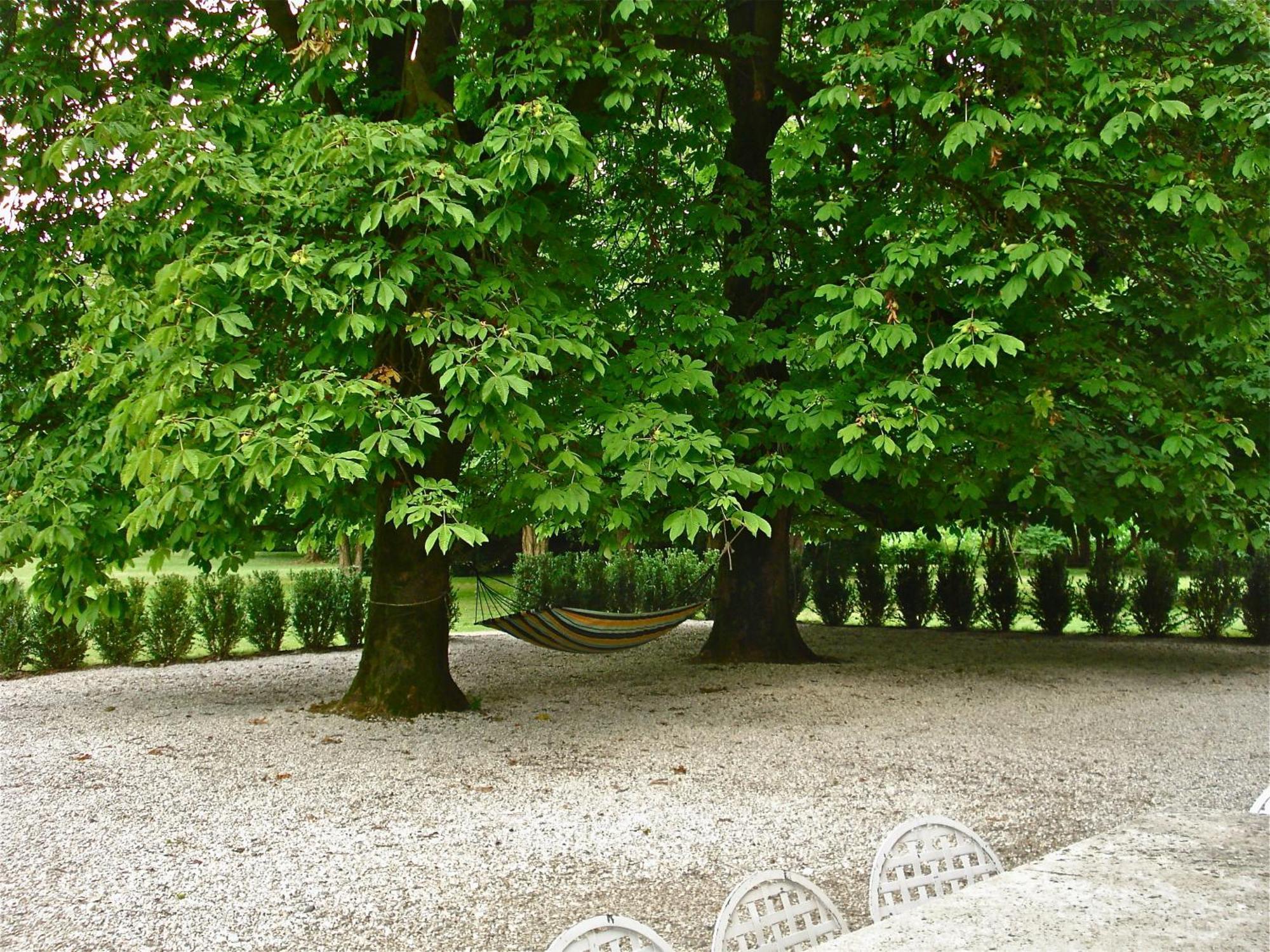 Villa Maffei Rizzardi Palu Exterior foto